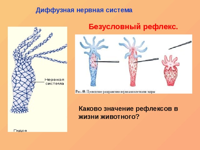 Kraken актуальный сайт